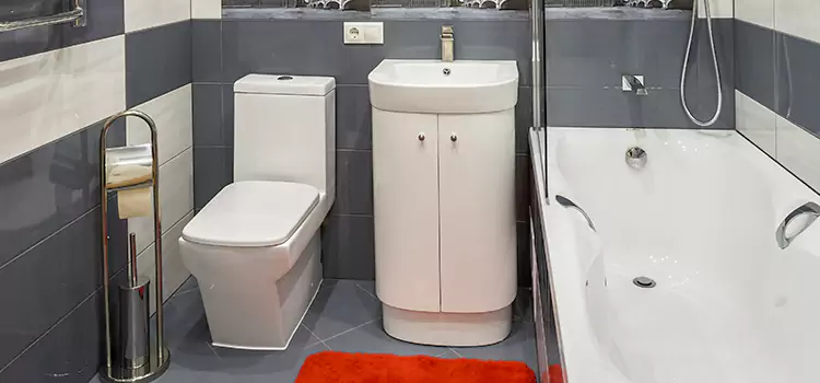 Hansgrohe Shaving Mirror Tuckahoe